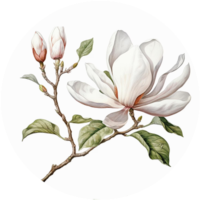 #10 Wild Harmony-Essential Oil Blend