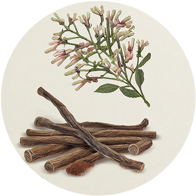 #11 Agarwood Glow-Essential Oil Blend