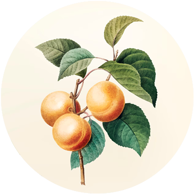 #13 Blossom Veil-Essential Oil Blend