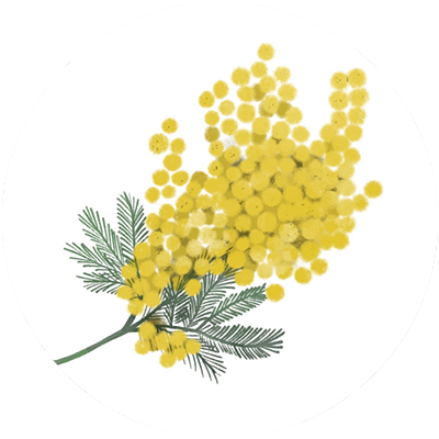 #19 Shadow Mist-Essential Oil Blend